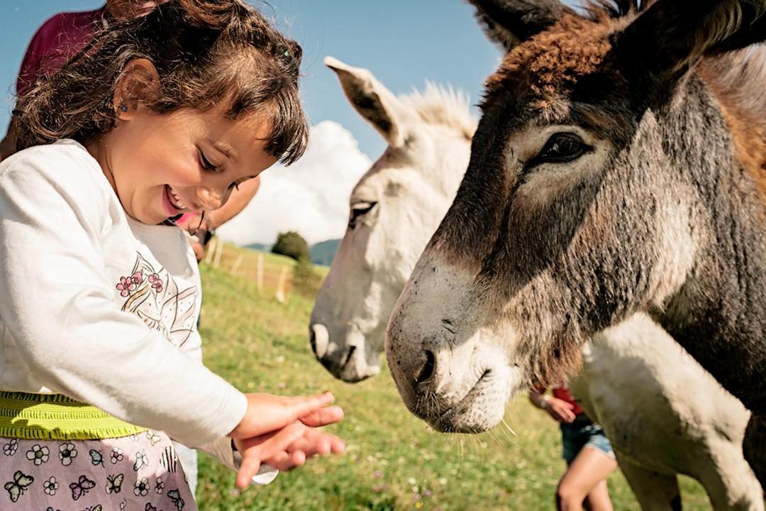 Willa Agritur Darial Tesero Zewnętrze zdjęcie