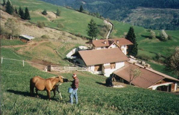 Willa Agritur Darial Tesero Zewnętrze zdjęcie